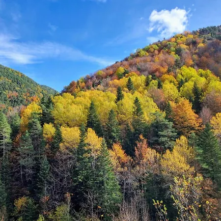 Apartmán Casa Orus *