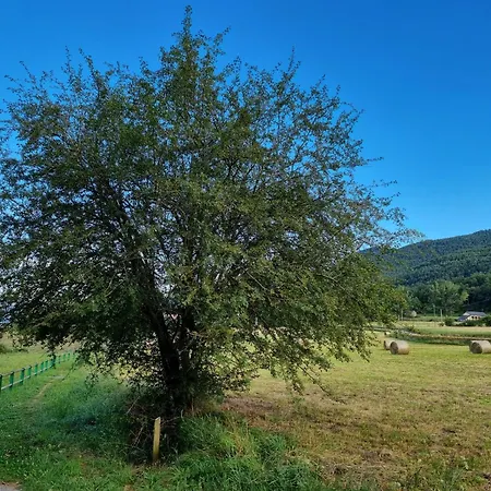 Casa Orus *