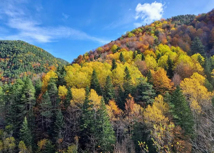 Lägenhet Casa Orus *